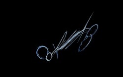 2014 04 28 blues 02-black.jpg